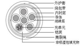 通达天下，缆动未来 解码线缆企业的多元化战略与创新突破